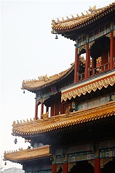 soi cầu bạch kim miền bắc