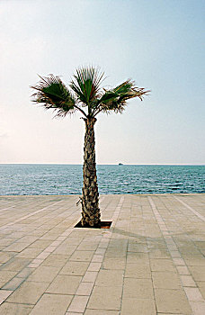 xổ số đà lạt