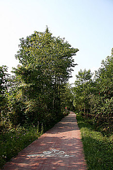 quay thu xo so mien nam