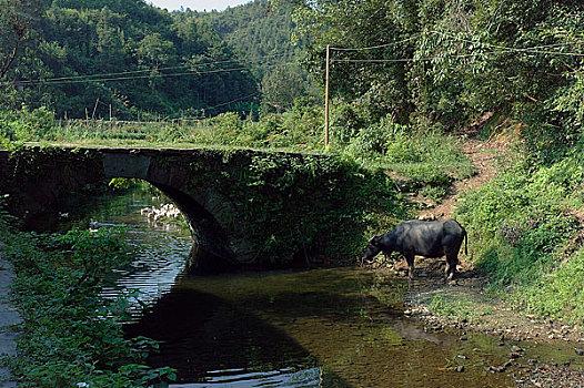 dàn đề chuẩn hôm nay
