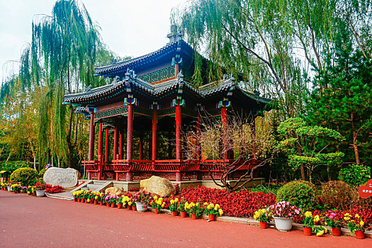 cầu lô bạch thủ khung 3 ngày