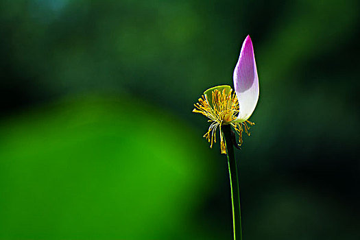 đề chuẩn hôm nay