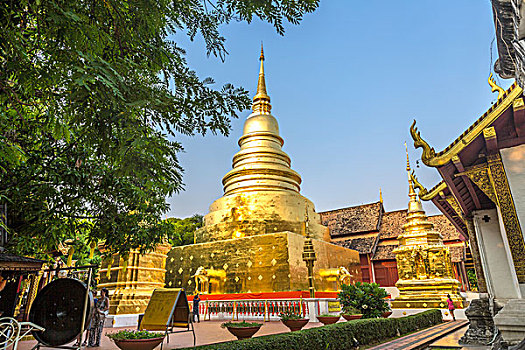 sx tra vinh