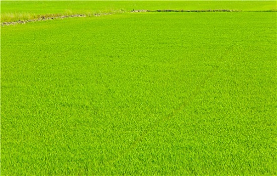 kết quả xổ số bình thuận