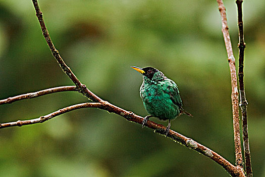 du doan xo so 3 miền