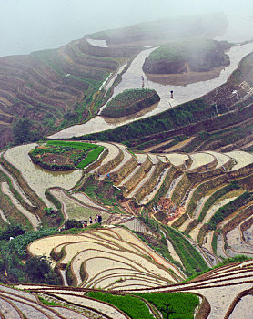 soi cau de chuan