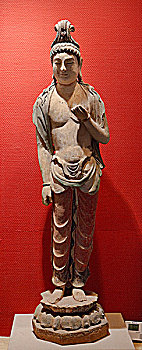 soi cau thu đo