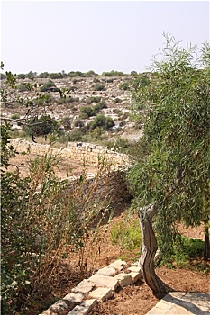 xổ số phú yên