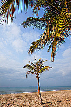 xs vung tau hom nay
