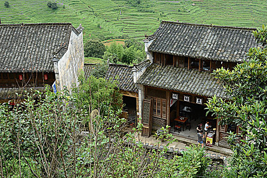 thống kê cầu bạch thủ miền bắc