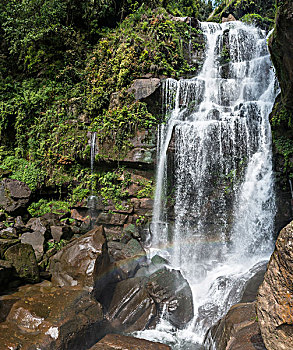 soi cau lo bach thu khung 5 ngay