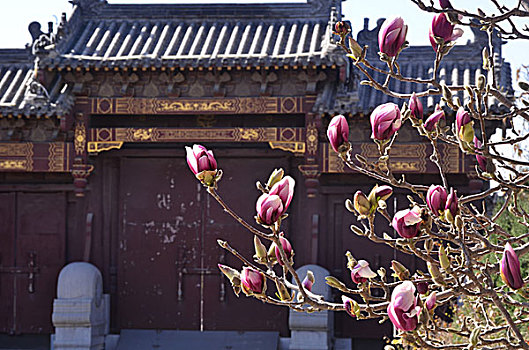 choi so de lam giau