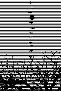 soicau mb win2888