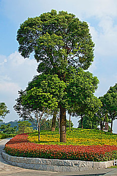xổ số xổ số
