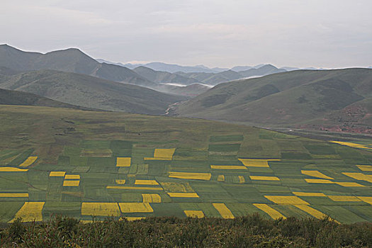 soi câu 888