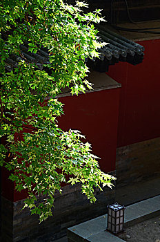 tỷ lệ lô đề