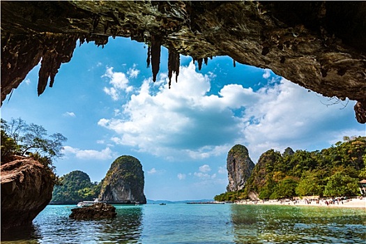 soi câu rong bạch kim