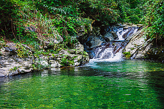 lô bạch thủ hôm nay