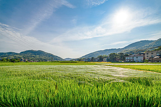 xổ số quảng ninh