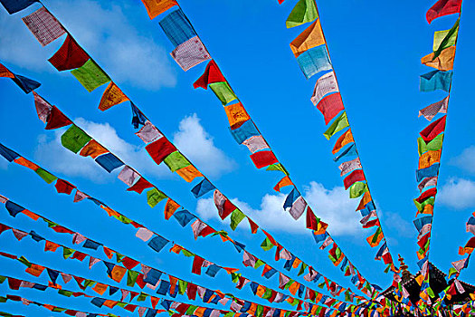 soi cau lo hai nhay rong bach kim