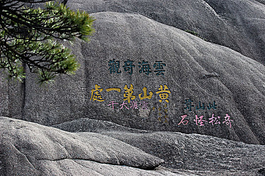 thống kê rongbachkim