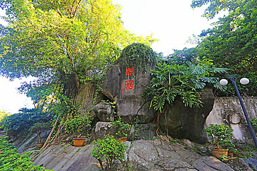 soicau bachthu mienbac