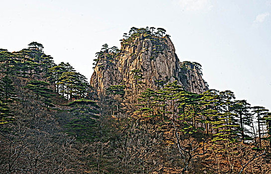 du doan xo so than tai mien nam