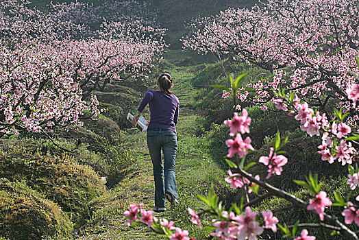 cau lo bach thu khung 5 ngay