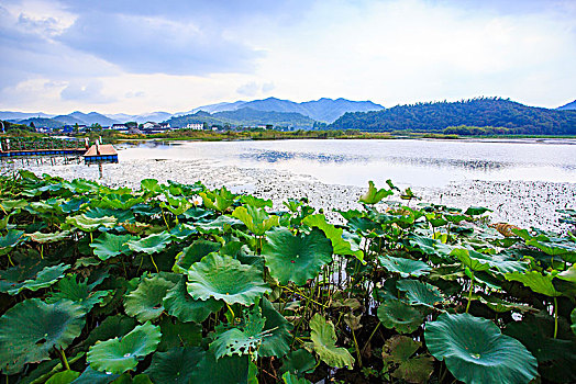 trang lode uy tin