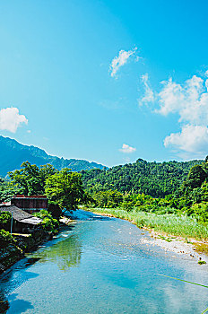 ban cua ca mau