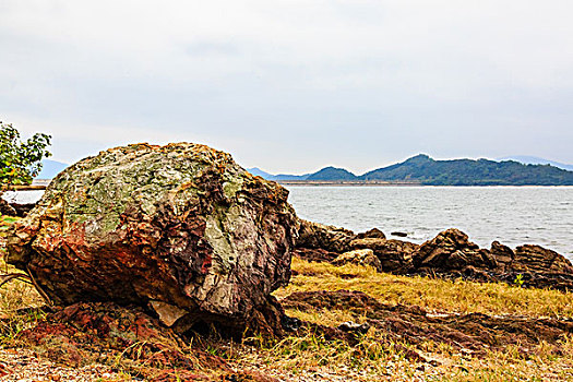soi cau thu đo