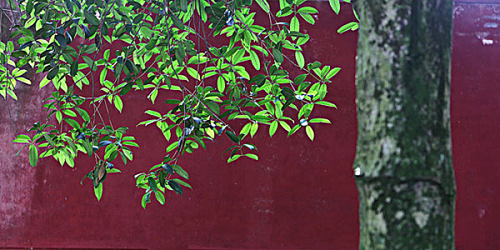 cầu tháng xsmb