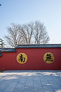 soi cau lo de rong bach kim