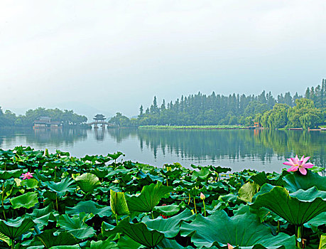 xskt bình phước