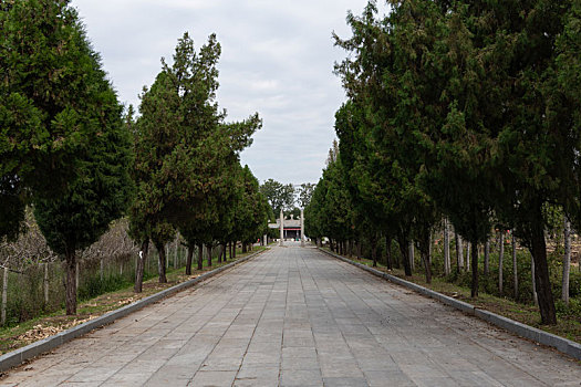 dự đoán xổ số tây ninh hôm nay