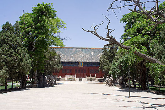 xổ số trực tiếp