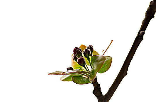 thống kê cầu miền bắc
