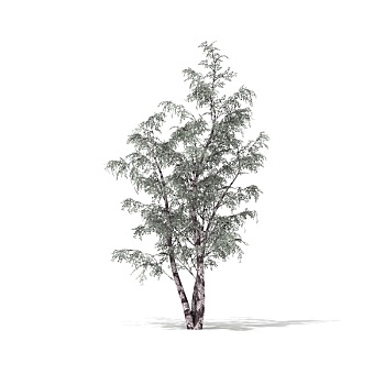 kết quả xổ số miền bắc minh ngọc