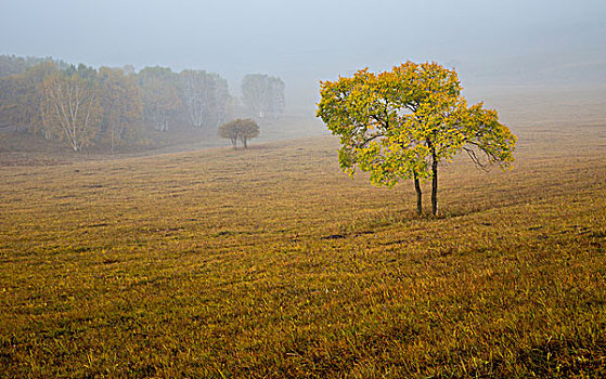thống kê xổ số