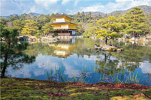 bạch thủ lô ngày mai