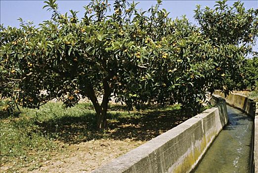 soi cầu xổ số miền bắc 6886