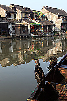 xsmb dự đoán