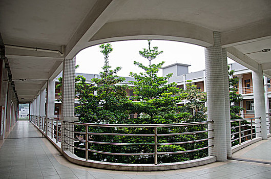 soi cau 365 wap sh
