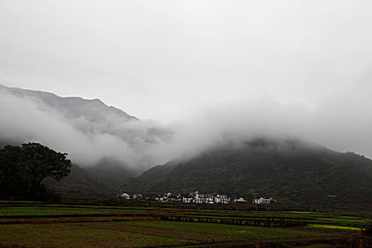dự đoán bình định