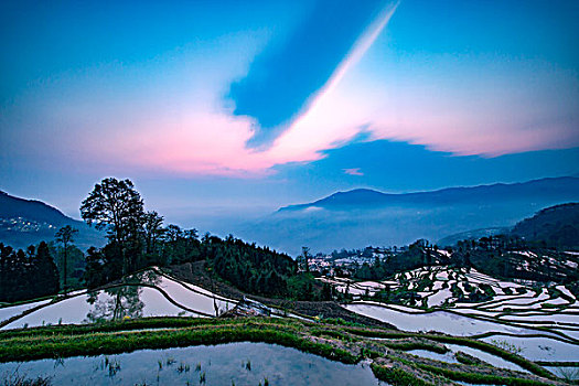 chơi đề trực tuyến