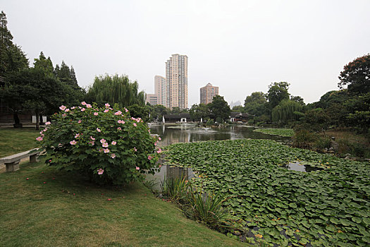 du doan bach thu mien nam