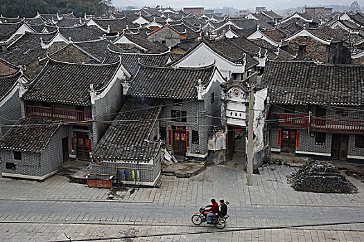rong bach kim 666 hom nay
