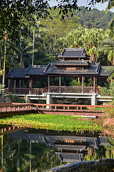 soi cau xs bach kim