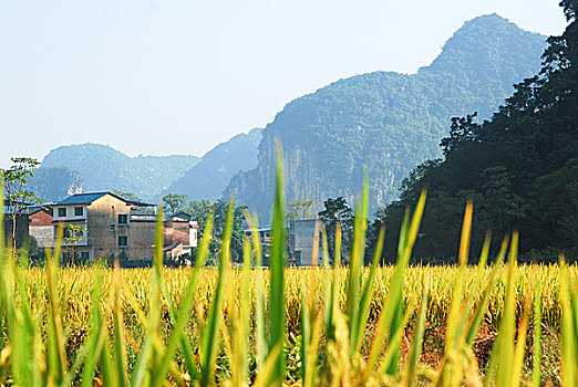 cầu lô mb
