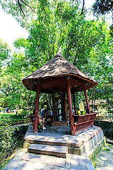 soi cầu lô 24